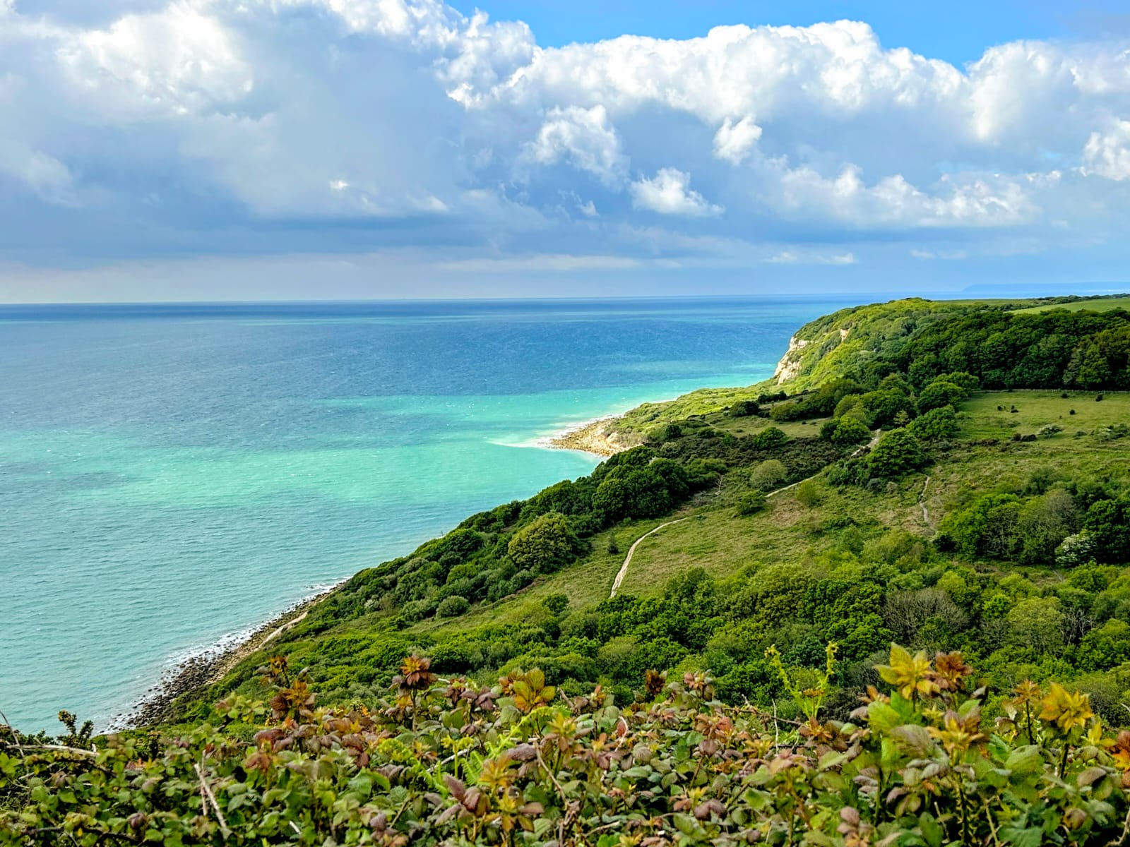 Pete Thomas - Looking West to Beachy Head b4e7a93666beaafa HCPNR view looking east