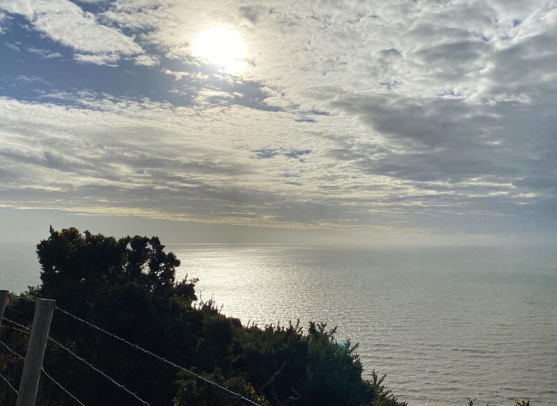 sunnysky