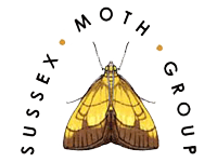 SMG LogoTimFreed trans