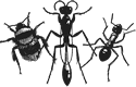 bwars logo