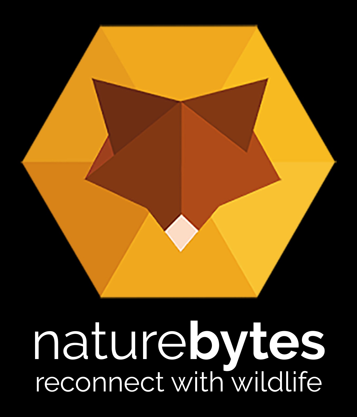 bas logo